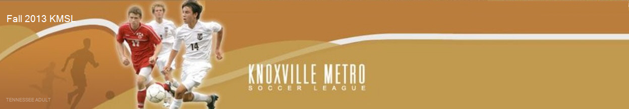 Fall 2013 KMSL banner